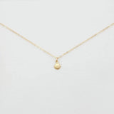 14K Gold Filled Shell Charm Necklace - Jewellery Hut