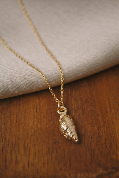 14 karat gold filled buy trivia shell necklace